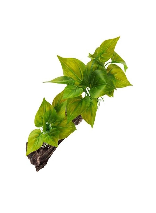 Imagitarium Driftwood with Greenery - Image 2